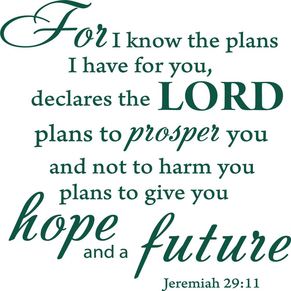 Decaltor Green 20" x 18" for I Know The Plans I Have for You declares The Lord Jeremiah 29:11 Quotes Sayings Words Art Decor Lettering Vinyl Wall Art Inspirational Uplifting Bible