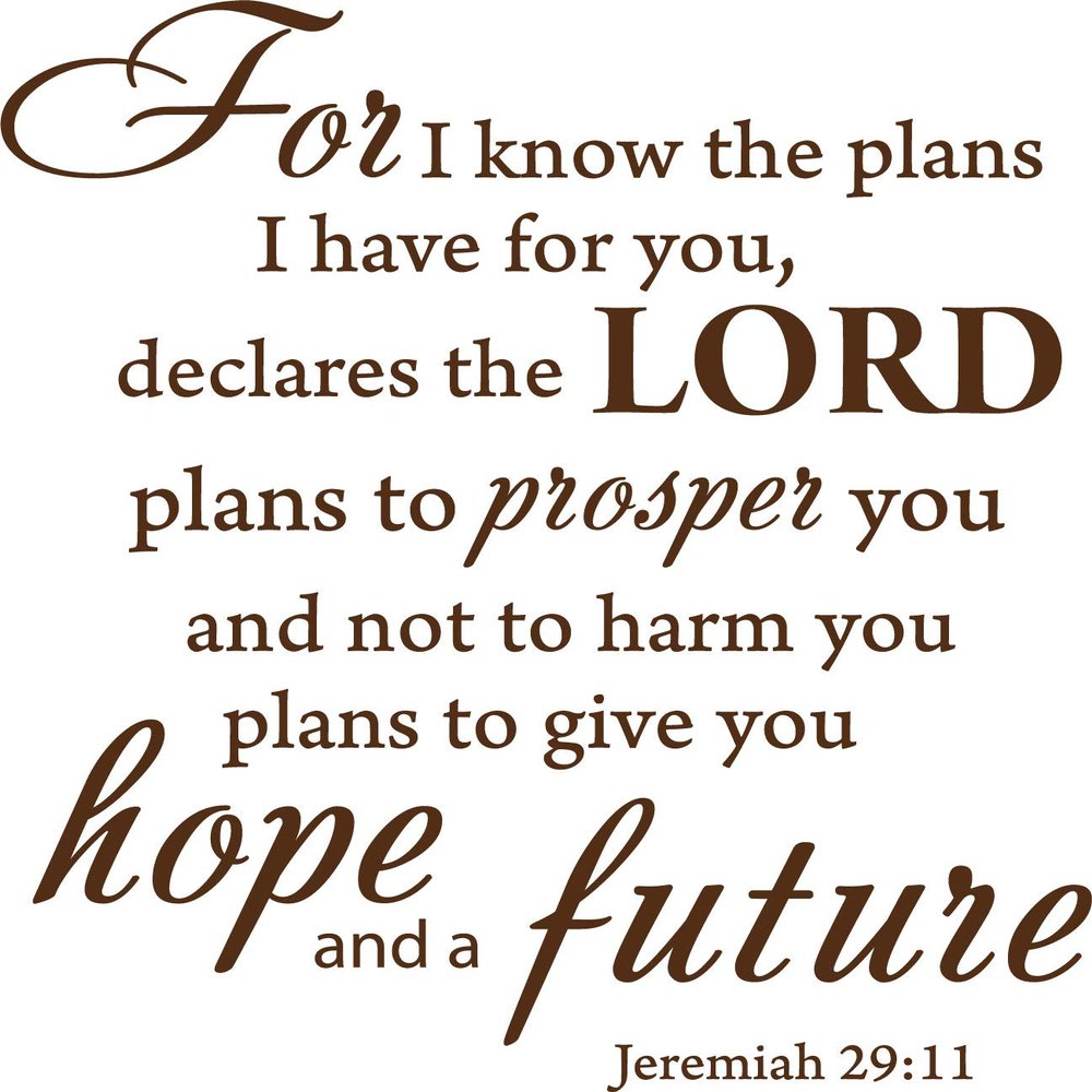 Decaltor Brown 15" x14" for I Know The Plans I Have for You declares The Lord Jeremiah 29:11 Quotes Sayings Words Art Decor Lettering Vinyl Wall Art Inspirational Uplifting Bible