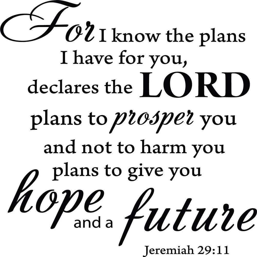 Decaltor Black 22" x 20" for I Know The Plans I Have for You declares The Lord Jeremiah 29:11 Quotes Sayings Words Art Decor Lettering Vinyl Wall Art Inspirational Uplifting Bible