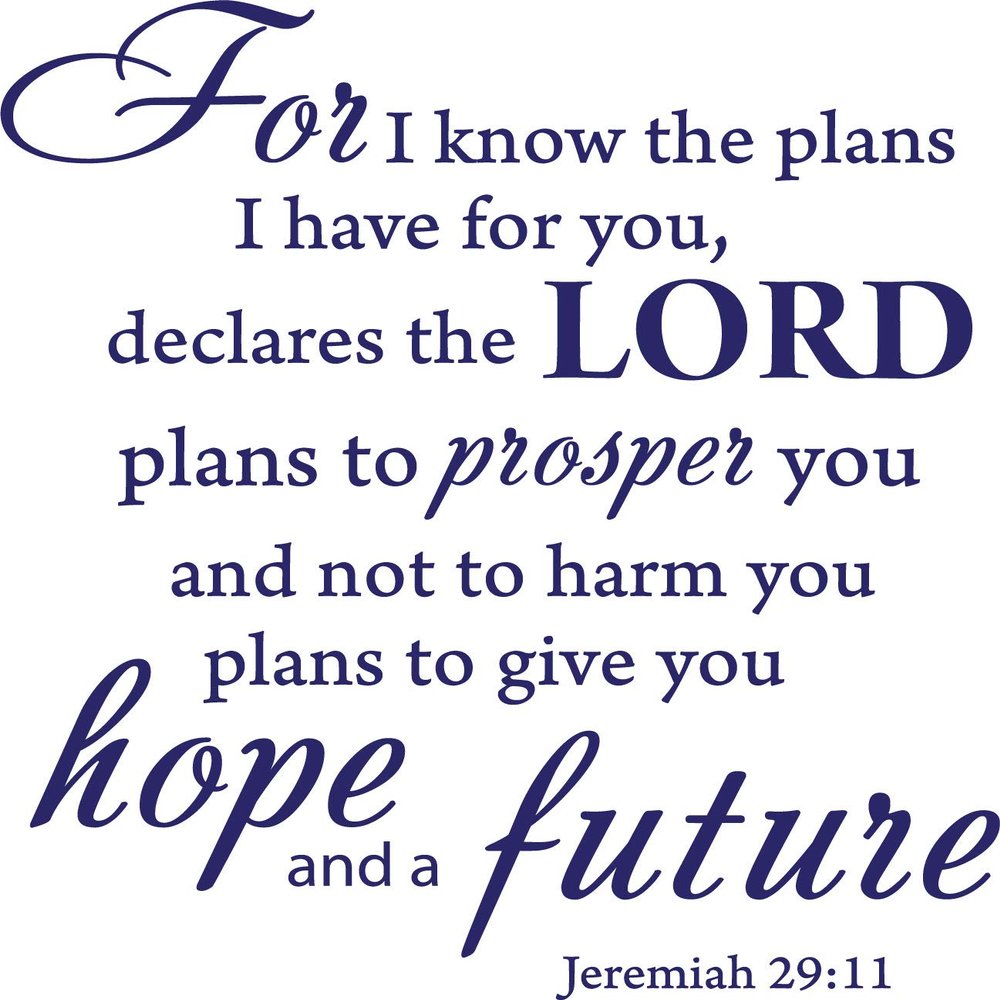 Decaltor Purple 22" x 20" for I Know The Plans I Have for You declares The Lord Jeremiah 29:11 Quotes Sayings Words Art Decor Lettering Vinyl Wall Art Inspirational Uplifting Bible