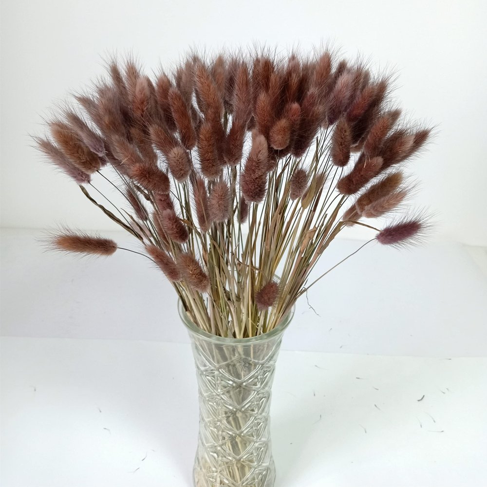 110 Stems Dried Bunny Tail Grass,Natural Dried Lagurus Ovatus,RABIT Tail Grass for Fall Wedding Home Decor (Brown)