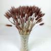 110 Stems Dried Bunny Tail Grass,Natural Dried Lagurus Ovatus,RABIT Tail Grass for Fall Wedding Home Decor (Brown) view 1
