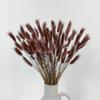 110 Stems Dried Bunny Tail Grass,Natural Dried Lagurus Ovatus,RABIT Tail Grass for Fall Wedding Home Decor (Brown) view 2