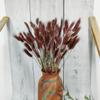 110 Stems Dried Bunny Tail Grass,Natural Dried Lagurus Ovatus,RABIT Tail Grass for Fall Wedding Home Decor (Brown) view 3