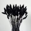 110 Stems Dried Bunny Tail Grass,Natural Dried Lagurus Ovatus,RABIT Tail Grass for Wedding Decor (Black) view 1