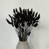 110 Stems Dried Bunny Tail Grass,Natural Dried Lagurus Ovatus,RABIT Tail Grass for Wedding Decor (Black) view 2