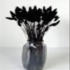 110 Stems Dried Bunny Tail Grass,Natural Dried Lagurus Ovatus,RABIT Tail Grass for Wedding Decor (Black) view 3