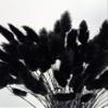 110 Stems Dried Bunny Tail Grass,Natural Dried Lagurus Ovatus,RABIT Tail Grass for Wedding Decor (Black) view 4