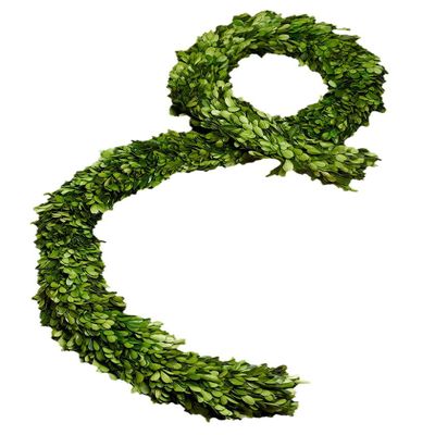 Serene Spaces Living Preserved Boxwood Garland, Genuine Green Leaves & Simple Care, Use for Christmas, Farmhouse, Fireplace Mantle, Kitchen, Holiday Decor, Measures 6 Feet Long