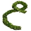 Serene Spaces Living Preserved Boxwood Garland, Genuine Green Leaves & Simple Care, Use for Christmas, Farmhouse, Fireplace Mantle, Kitchen, Holiday Decor, Measures 6 Feet Long view 1