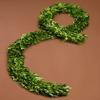Serene Spaces Living Preserved Boxwood Garland, Genuine Green Leaves & Simple Care, Use for Christmas, Farmhouse, Fireplace Mantle, Kitchen, Holiday Decor, Measures 6 Feet Long view 2