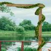 Serene Spaces Living Preserved Boxwood Garland, Genuine Green Leaves & Simple Care, Use for Christmas, Farmhouse, Fireplace Mantle, Kitchen, Holiday Decor, Measures 6 Feet Long view 4