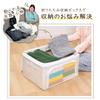 Astro 822-31 Storage Case for Clothes, White, Non-Woven Fabric, Wired, Simple, Stackable, Handle Included view 2