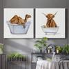 Renditions Gallery Bathing Highland Cow and Camel Wall Art, Premium Gallery Wrapped Canvas Decor, Ready to Hang, 16 in H x 16 in W, Made in America Print view 4
