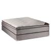 Dream Solutions USA DS USA Spinal Plush Twin PillowTop (Eurotop) Mattress Set, Bed Frame Included - Sleep System with Enhanced Cushion Support, Fully Assembled, Longlasting Comfort view 1