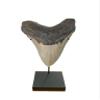 Clearco Artifact Display Stand, for Ushabtis, Figurines, Pre Columbian, Egyptian, Roman, Greek statues or figures, Megalodon shark tooth, Dolls, Arrowheads and other artifacts. 5" HIGH view 2