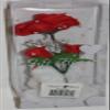 8" Valentines, Mothers Day, White Teddy Bear Holding 3 Rose Flowers in I Love You Laser Printed Gift Box view 2