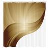 Ambesonne Contemporary Shower Curtain, Spiraling Stripes with Monochrome Tones Modern Art Inspirations Abstract, Cloth Fabric Bathroom Decor Set with Hooks, 69" W x 70" L, Pale Coffee view 2