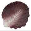 12" L Gourmet Kitchen Ceramic Fresh Red Cabbage Shaped Dinner Serving Plate - Favorite Dcor!!! view 3