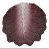 12" L Gourmet Kitchen Ceramic Fresh Red Cabbage Shaped Dinner Serving Plate - Favorite Dcor!!! view 4