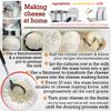 11 pcs Cheese Making Kit Beginners - Soft Cheese Molds + Cheese Mold with a Follower Piston - Cheese Making Supplies - Moldes Para Queso Fresco Casero - Paneer Cream Cheese Form Mold Basket 2 view 4
