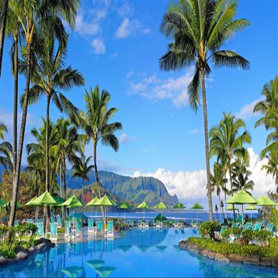 Iconic Arts Laminated 24x36 Poster: Hawaii Hotel Mountain Palm Tree Pool Resort with Reflection hd Travel HD