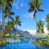 Iconic Arts Laminated 24x36 Poster: Hawaii Hotel Mountain Palm Tree Pool Resort with Reflection hd Travel HD view 1