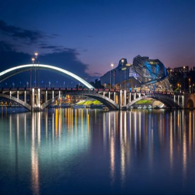 Iconic Arts Laminated 24x36 Poster: Lyon Museum Bridge in France During Nighttime hd Travel HD