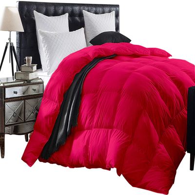 1-Piece All Season Luxurious 800TC Down Alternative Comforter, 100% Egyptian Cotton 100 GSM Comforter Only- Full XL Hot Pink Solid
