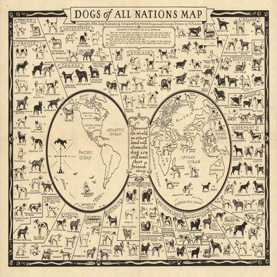 Vintage Illustrated World Map with Dog breeds of Nations CANVAS PRINT " " Paintings Oil Painting Original Drawing Poster Photo Wall Art Animals Animal IXMAH (12x16inch-Framed)