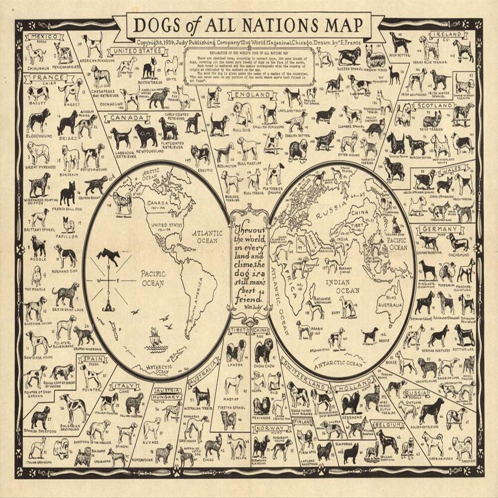 Vintage Illustrated World Map with Dog breeds of Nations CANVAS PRINT " " Paintings Oil Painting Original Drawing Poster Photo Wall Art Animals Animal IXMAH (12x16inch-Framed)