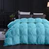 1 PC Comforter Set Luxurious Quality Cotton Fill 500 GSM Pinch Pleated Comforter All-Season Silky Soft Comfortable Baffle+Pinch Pleat Comforter Set Twin/Twin XL Size-Aqua view 2