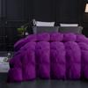 1 PC Comforter Set Luxurious Quality Cotton Fill 500 GSM Pinch Pleated Comforter All-Season Silky Soft Comfortable Baffle+Pinch Pleat Comforter Set Twin/Twin XL Size-Purple view 2
