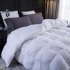 1 PC Comforter Set Luxurious Quality Cotton Fill 500 GSM Pinch Pleated Comforter All-Season Silky Soft Comfortable Baffle+Pinch Pleat Comforter Set Oversized Queen Size-White view 3