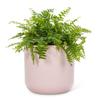 Abbott Collection Large Classic Planter-7" H view 3