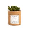 Demdaco Plant Kindness - Courage view 1