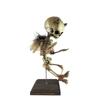 Asylum Zone Incubus Demon Devil Vintage in-Utero Skeleton Beige, One Size