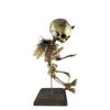 Asylum Zone Incubus Demon Devil Vintage in-Utero Skeleton Beige, One Size view 1