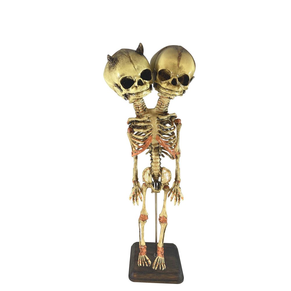 Asylum Zone Evil Twin Siamese Twin Conjoined Demon Devil Fetus Skeleton Oddity