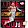 NBA Atlanta Hawks - Trae Young 20 Wall Poster, 22.4L" x 14.7W", Premium Poster & Mount Bundle view 1