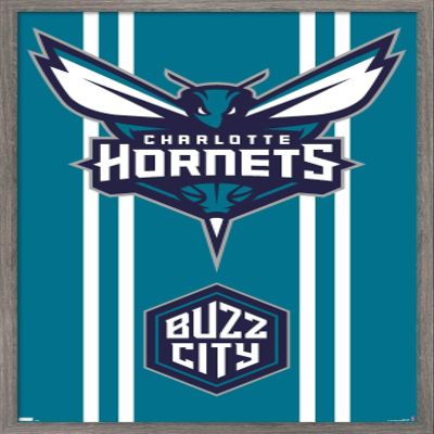 Trends International NBA Charlotte Hornets - Logo 20 Wall Poster, 22.4L x 14.7W, Barnwood Framed Version