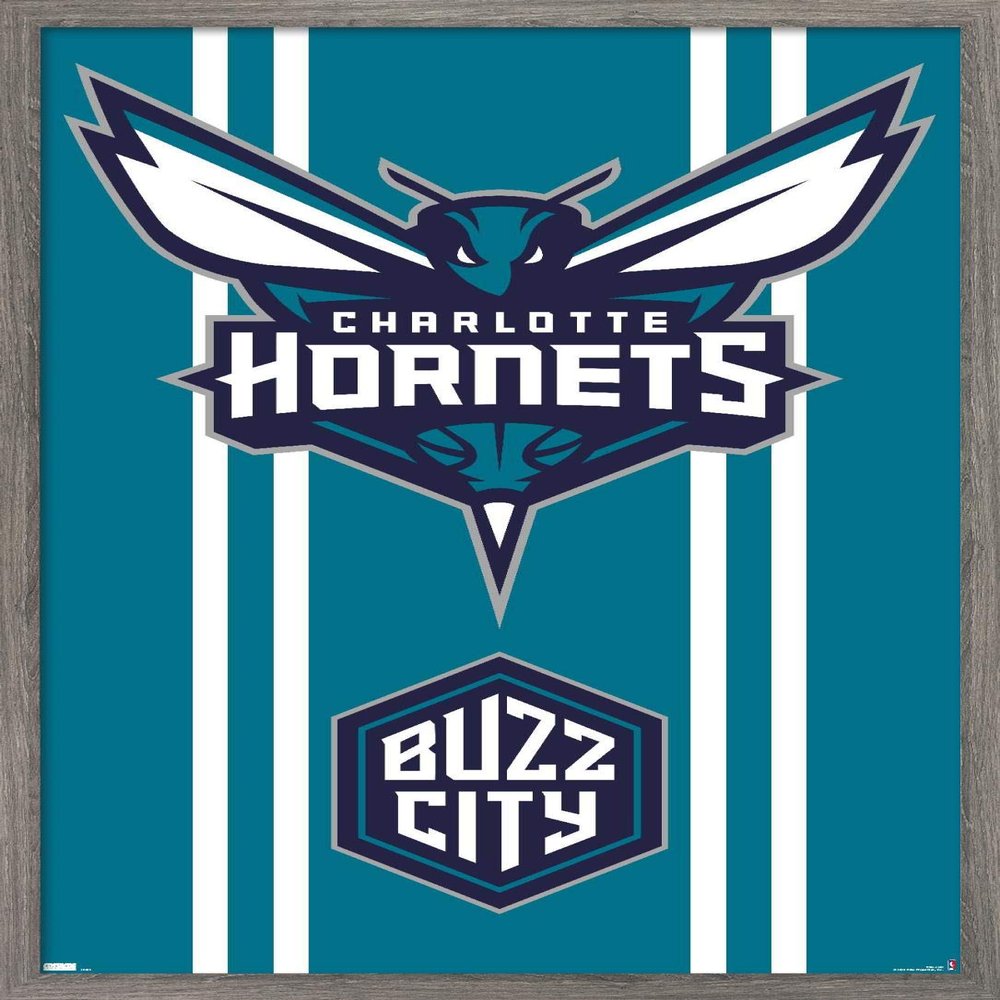 Trends International NBA Charlotte Hornets - Logo 20 Wall Poster, 22.4L x 14.7W, Barnwood Framed Version