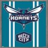Trends International NBA Charlotte Hornets - Logo 20 Wall Poster, 22.4L x 14.7W, Barnwood Framed Version view 1