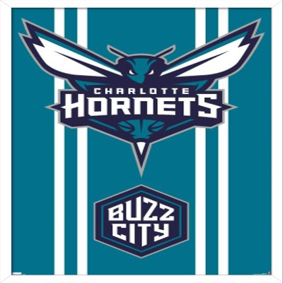 Trends International NBA Charlotte Hornets - Logo 20 Wall Poster, 34L x 22.4W, White Framed Version