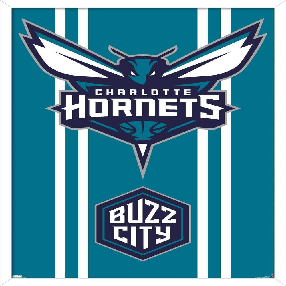 Trends International NBA Charlotte Hornets - Logo 20 Wall Poster, 34L x 22.4W, White Framed Version