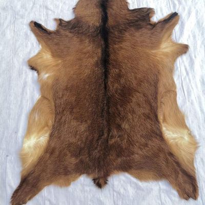 Red Deer Hide Rug Deer Skin Rug Deer Taxidermy Fireplace Deerskin Decor Reindeer Hide Area Rug Animals Mat Carpet for Home Office Bedroom Taxidermy Hunting Collectable 3.2x2.1ft