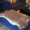 Red Deer Hide Rug Deer Skin Rug Deer Taxidermy Fireplace Deerskin Decor Reindeer Hide Area Rug Animals Mat Carpet for Home Office Bedroom Taxidermy Hunting Collectable 3.2x2.1ft view 3