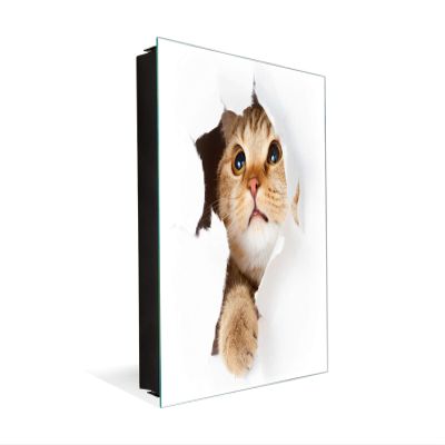 Concept Crystal 50 Keys Cabinet with Decorative Front Panel and Glass White Board K02 Cat in Paper