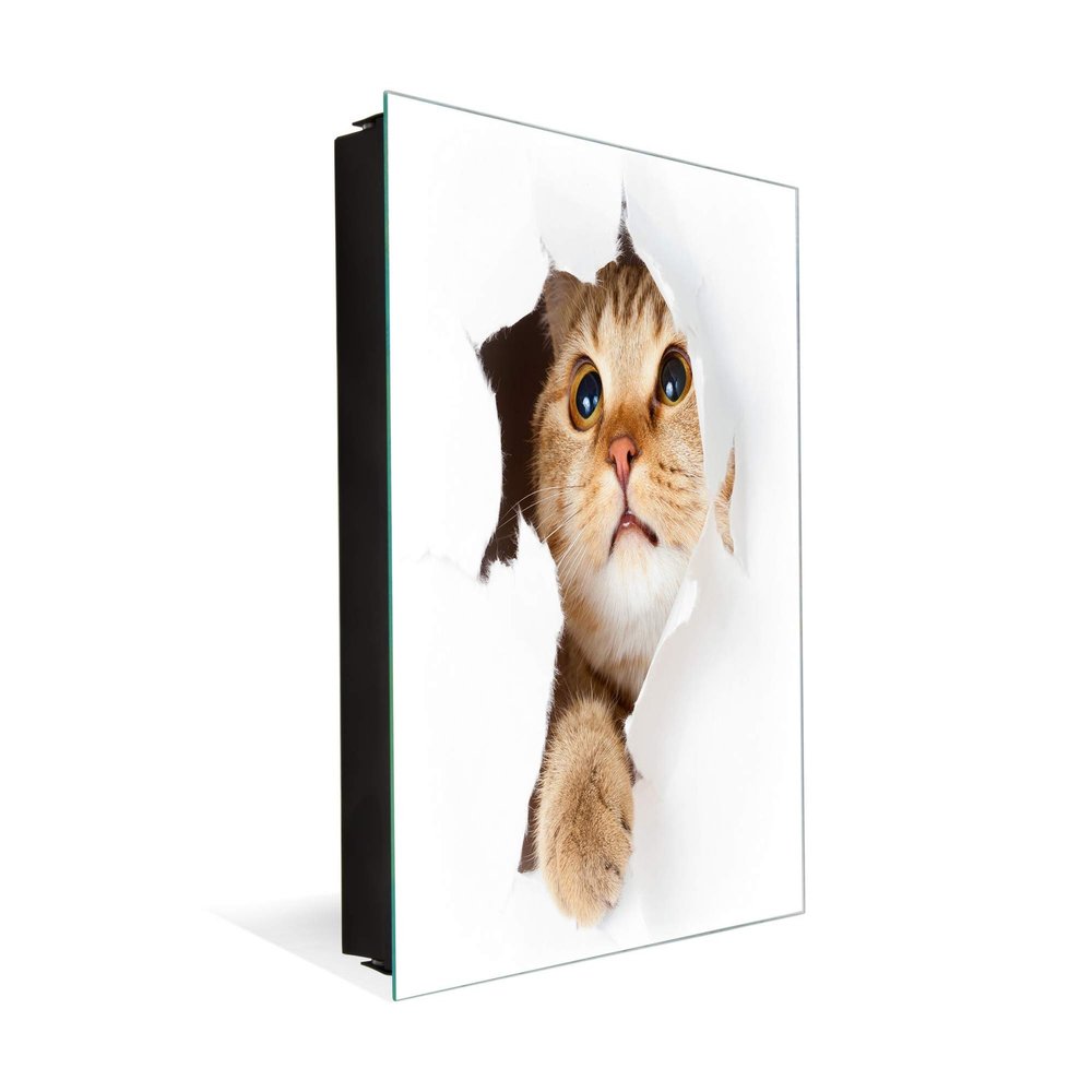 Concept Crystal 50 Keys Cabinet with Decorative Front Panel and Glass White Board K02 Cat in Paper