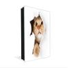 Concept Crystal 50 Keys Cabinet with Decorative Front Panel and Glass White Board K02 Cat in Paper view 1